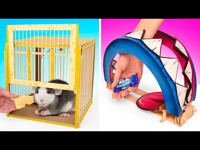 How To Make 2 Fun DIY Rat Traps From Cardboard