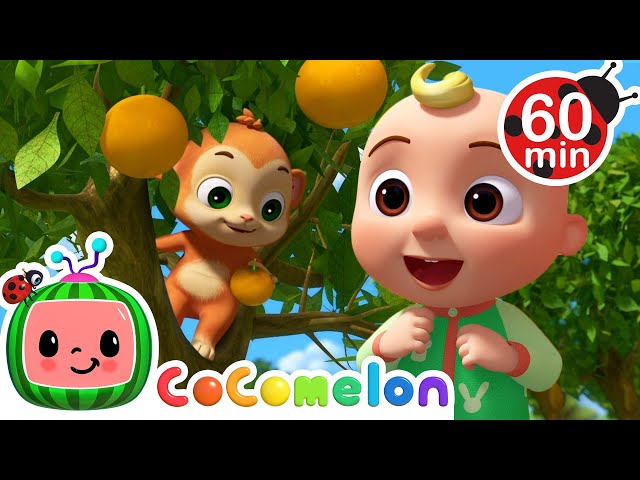 Grow Your Fruit Song 🍎🍊 | 🌈 CoComelon Sing Along Songs 🌈 | Preschool Learning | Moonbug Tiny TV