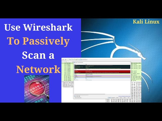 Use Wireshark on Kali Linux to Passively Scan network packets | Sniff network packets
