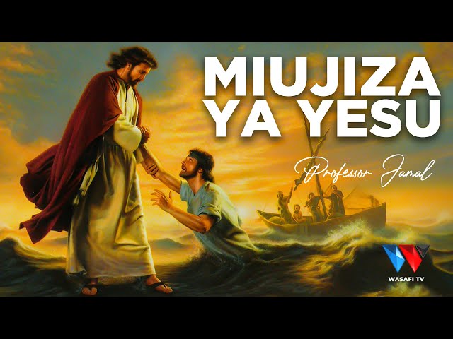 The Story Book: Ukweli wa Maajabu Ya Miujiza Ya Yesu ! (All Jesus Miracles in Swahili)