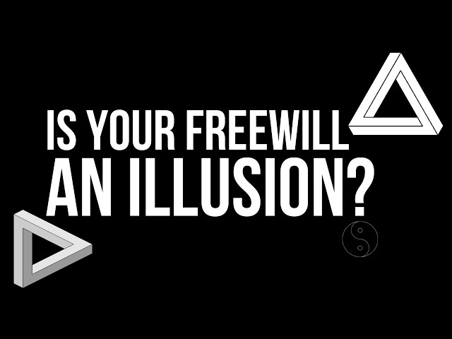 Is Your Free Will An Illusion?: The Many World Interpretation Of The Multiverse #quantumphysics
