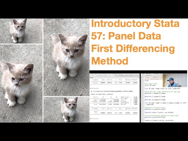 Introductory Stata 57: Panel Data First Differencing Method