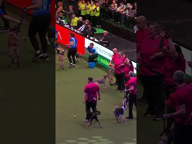 Standing Room Only | Crufts 2024