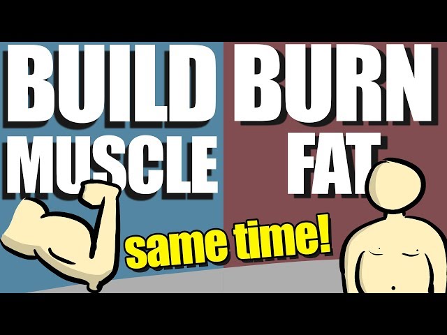 How To Build Muscle And Burn Fat At the SameTime (Body Recomposition)