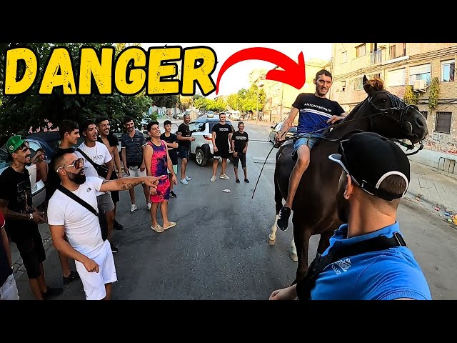 Gypsy Tries to Run Me Over With Horse in Dangerous Ghetto!