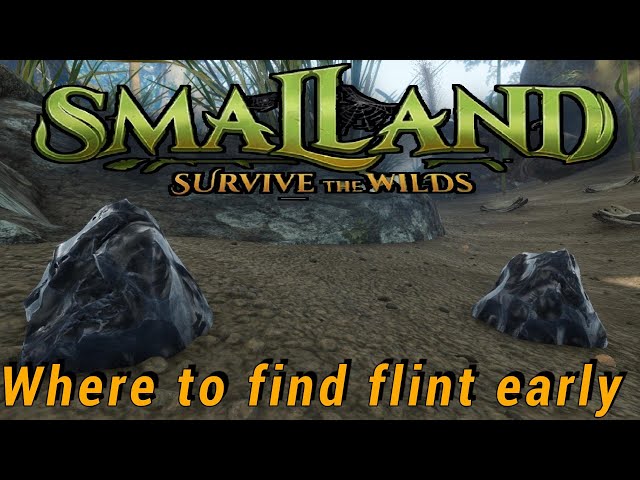 Flint location for the early game. (Smalland)
