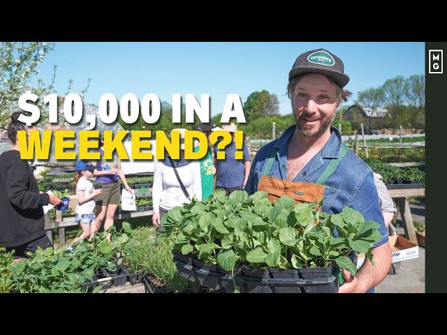 $10,000 In One Weekend Selling Plants! 🌱 💰