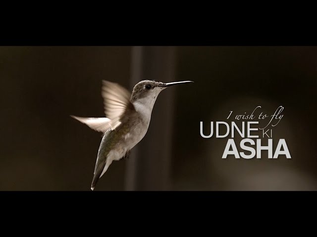 Udne Ki Asha (I wish to fly)