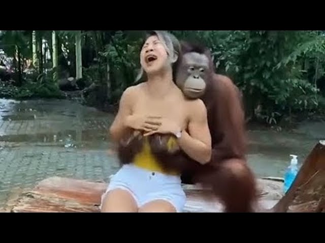 10 heftige Zoo-Momente vor laufender Kamera