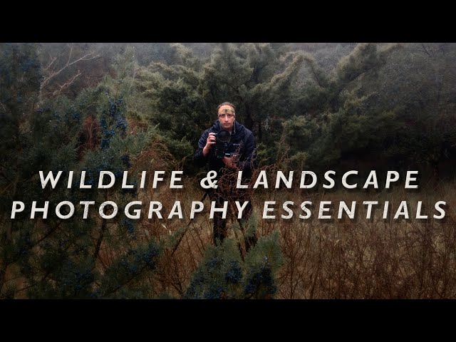 The ONLY 10 ESSENTIALS for Wildlife and Landscape Photography in 2022