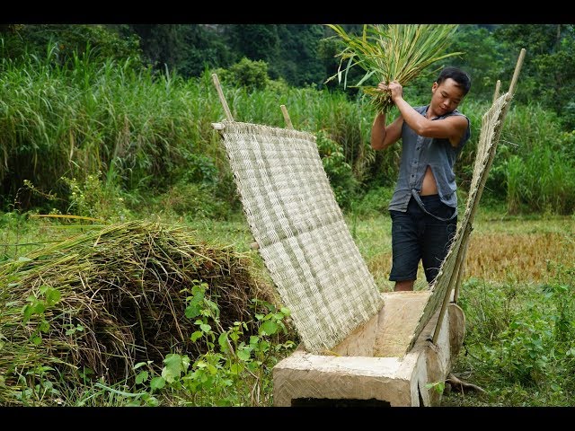 Primitive Skills: How to Harvest Rice?