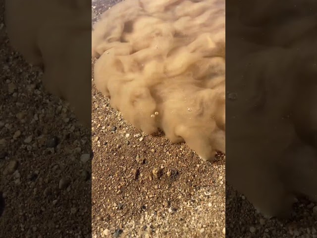 Dirt Particles In Water