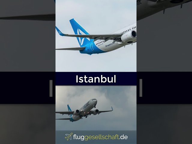 Brandneu: Ajet (former Anadolujet) Boeing 737 takeoff "Hoffmannkurve" am Flughafen Berlin BER