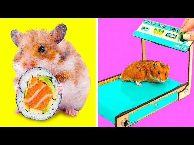 DIY SUSHI Bar And Treadmill For A Hamster|| Fun DIY Projects for Your Hamsters
