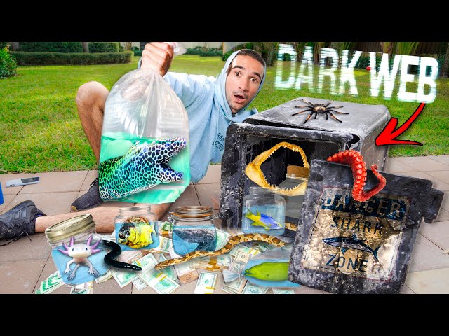 Ordering ABANDONED Fish SAFE Off the DARK WEB... (Finally Opened It)