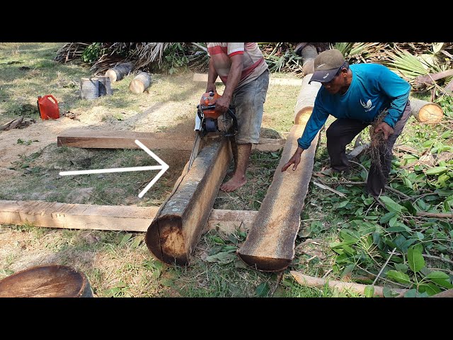 Best Palm Tree Wood Sawing Skills Process With Chainsaw STIHL MS 070