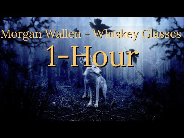 Morgan Wallen Whiskey Glasses 1 Hour!