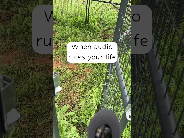 WHEN AUDIO RULES YOUR LIFE | #shorts