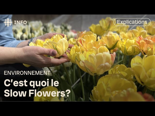 Slow Flowers : faire une fleur à l’environnement