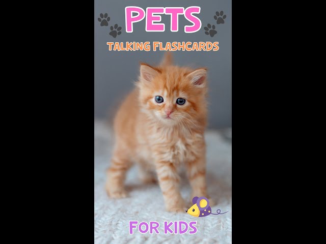 Pets | Talking Flashcards For Kids
