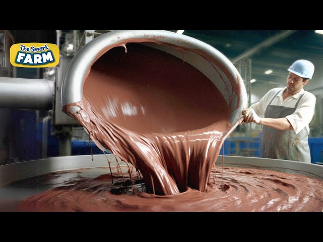 AMAZING Chocolate Production Process | Making Chocolate From Raw Cacao Beans