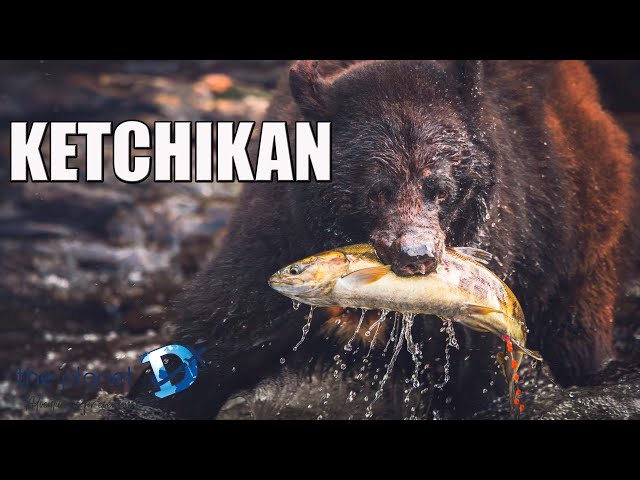 Best Ketchikan Excursions - Alaska Cruise Ship Port