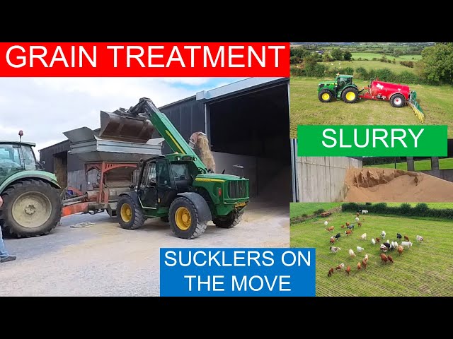 GRAIN TREATMENT- MOVING COWS - SLURRY