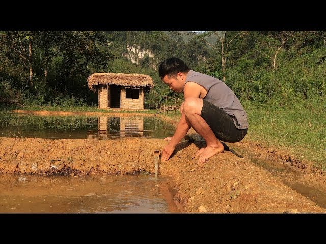 Primitive technology: Farmland, Irrigation (Water supply by bamboo tube for to irrigate rice) Part 2