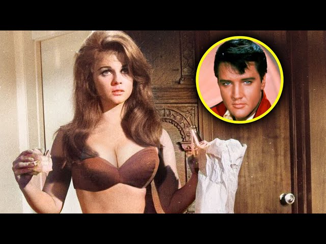 Ann Margret Finally Addresses the Affair That Destroyed Elvis’ Marriage