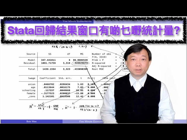 【Cantonese粵語】五分鐘計量經濟學第十二集：Stata回歸結果窗口有啲乜嘢統計量同元素？