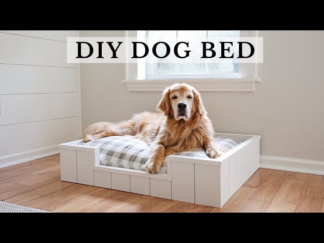 DIY Dog Bed with Shiplap | How to Make a Dog Bed out of Wood