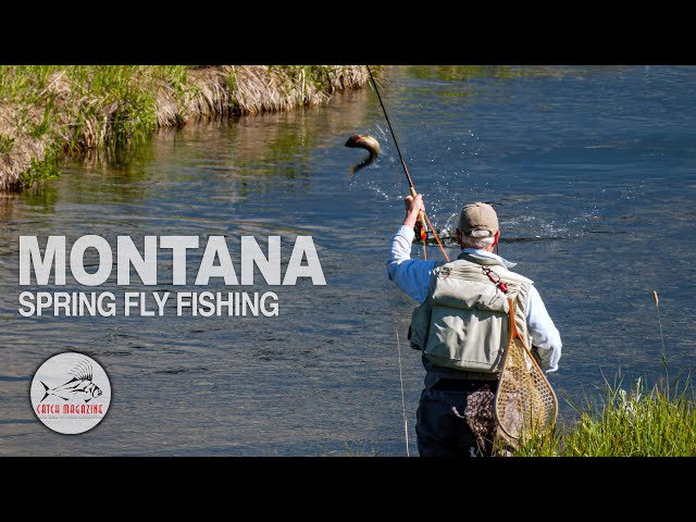 Spring Creek FLY FISHING: BIG FISH Knee Deep in Montana’s Madison Valley by Todd Moen