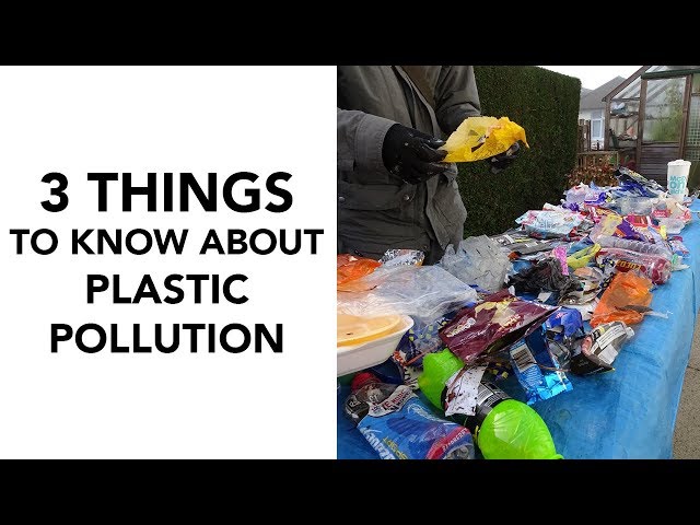 3 Things You Should Know About Plastic Pollution
