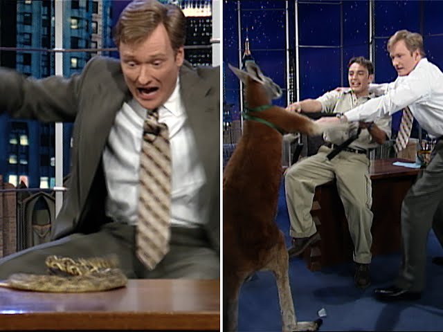 The Kangaroo Incident | Late Night with Conan O’Brien