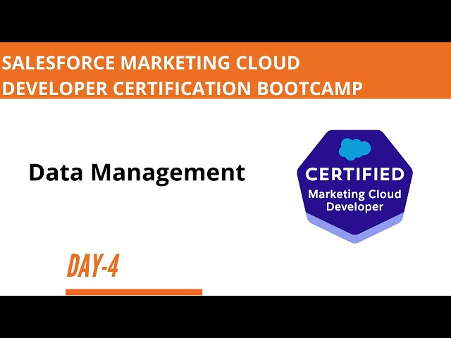 Marketing Cloud Developer Bootcamp   Day 4 Data Management