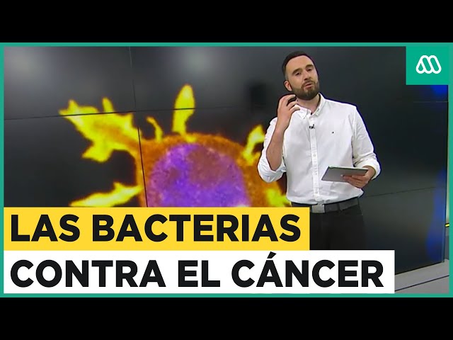 Las bacterias que ayudarían a combatir el cáncer