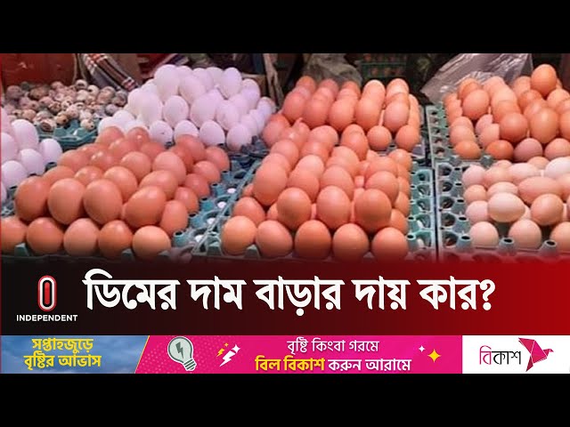 ডিমের বাজারে অস্থিরতার জন্য একে অপরকে দোষারোপ | Egg Price Hike | Independent TV