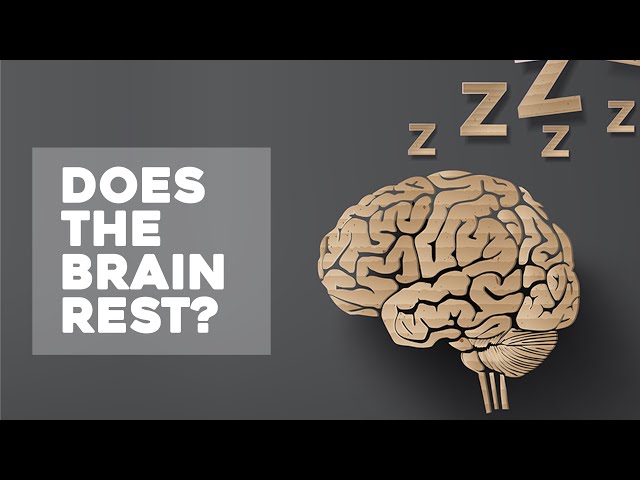 Does the Brain Rest While Asleep? Brain Surgeon Dr Rahul Jandial on Sleep and Dreams