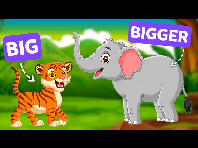 Comparative adjectives for kids - English Grammar For Kids