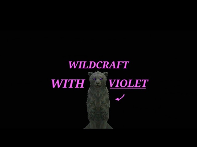 Violet Live Stream
