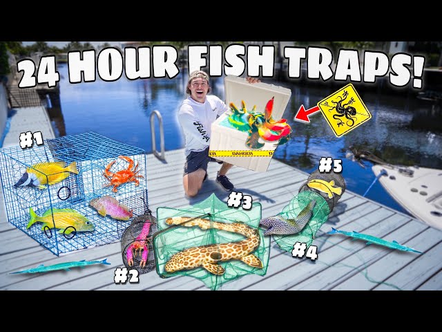 24 Hour FISH TRAPS Catch STRANGE SEA CREATURES & Tons of FISH For My SALTWATER POND! *Cuttlefish?!*