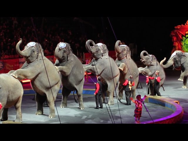 R.I.P. Ringling Bros: My home video tribute