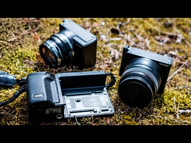 Cheap Camera Review - Ricoh GXR - Leica M8 on a Budget!