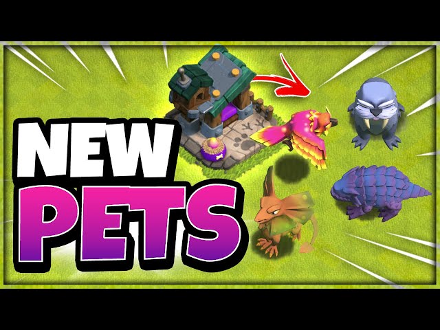 Is DIGGY The BEST NEW Pet?! Clash of Clans Update Sneak Peek 3