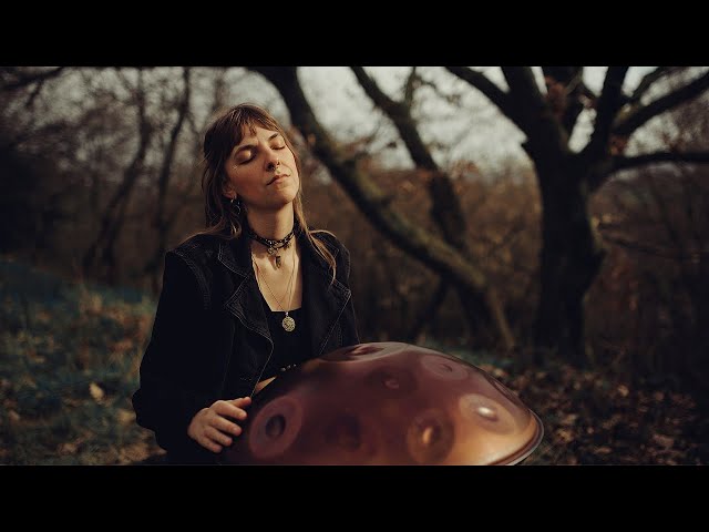 New Chapter | 1 Hour Handpan Music - Changeofcolours | Ayasa F# Low Pygmy