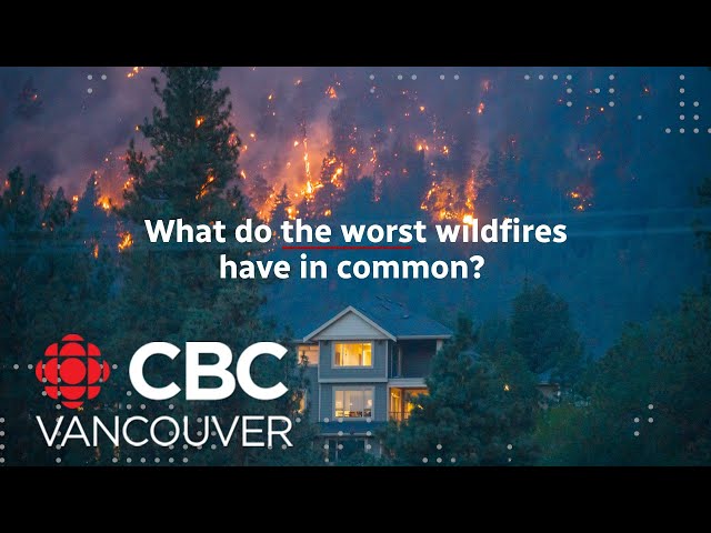 What do the most destructive wildfires have in common?
