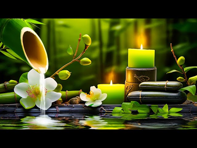 Relaxing Music to Relieve Stress, Anxiety and Depression 🌿 Heals The Mind, Body and Soul