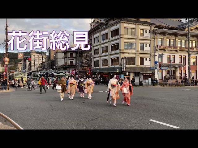 花街総見終了後の先斗町の芸舞妓さん 2019 Gion