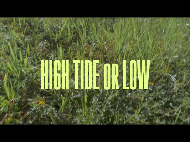Jesse Royal - High Tide or Low featuring Samory-I (Official Video)