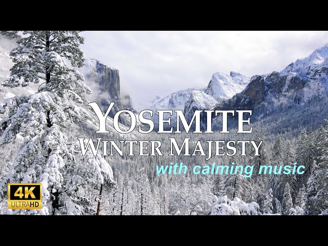 Yosemite Winter Majesty